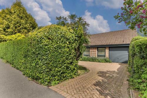 Beautiful Private Bungalow Wifi Parking
