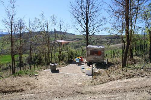 "carul�t Arancio" Nel Bosco