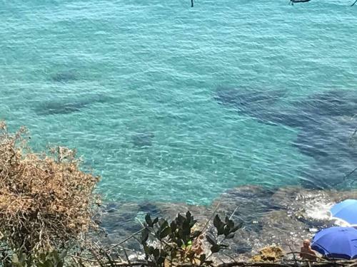 Villa Con Vista Mare E Spiaggia Privata