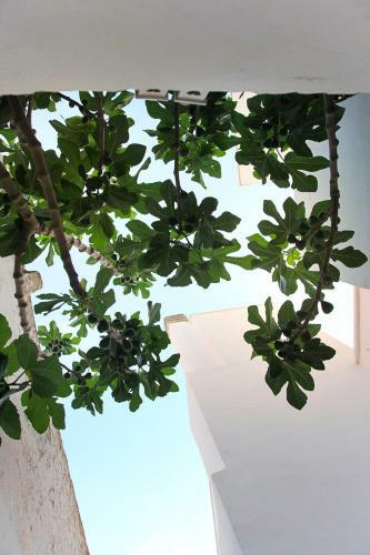 Hostal Vecchia Cantina - Le Camere