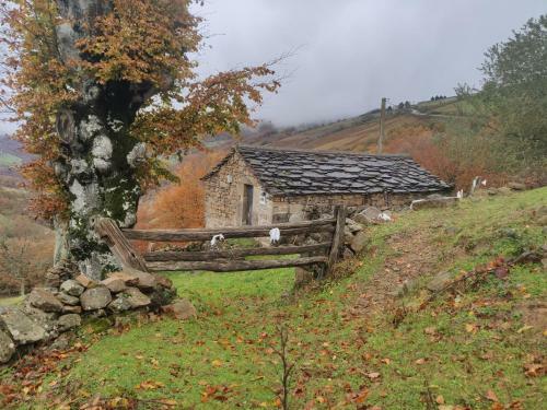 Caba�a Pasiega El Ojal