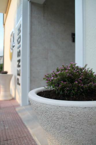 Hostal Baixo A Lua Rooming