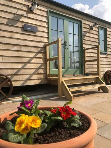 Apartamento Coldharbour Luxury Shepherds Hut