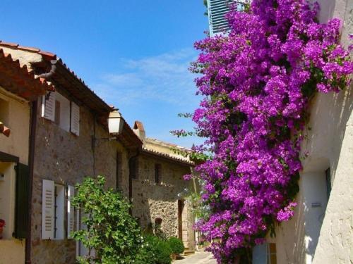Pretty Holiday Home With Private Garden And Communal Pools, Grimaud