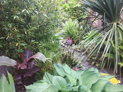 Jungle Cabin In Sutton Coldfield