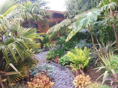 Jungle Cabin In Sutton Coldfield