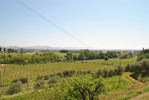 Apartamento Da Ida Alla Vigna Del Greppo
