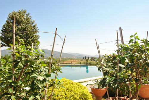 Apartamento Da Ida Alla Vigna Del Greppo