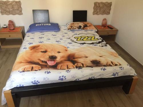 Apartamento Casa Relax