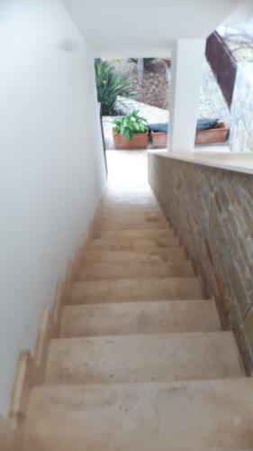 Apartamento Stella Maris D