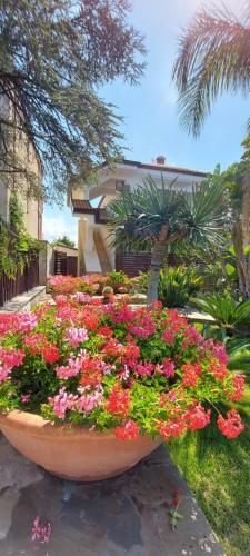 Apartamento Stella Maris D