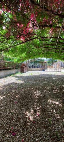 Apartamento Stella Maris A