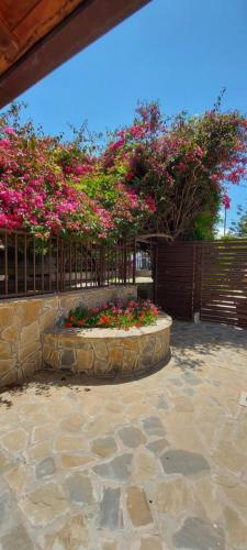 Apartamento Stella Maris A
