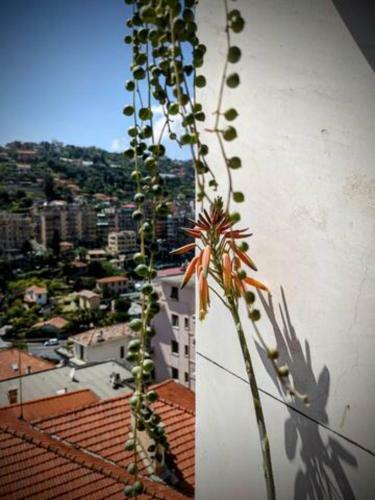Apartamento Casa Amarcord Appartamento Vintage Con Parcheggio