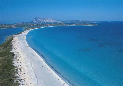 Hostal Room In Guest Room - Sardegna Affitto Camere