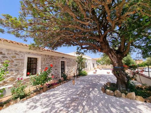 Apartamento Stazzo San Teodoro La Quercia