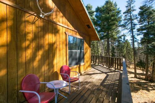 Beautiful Mountain Living At 9800 Above Sea Level