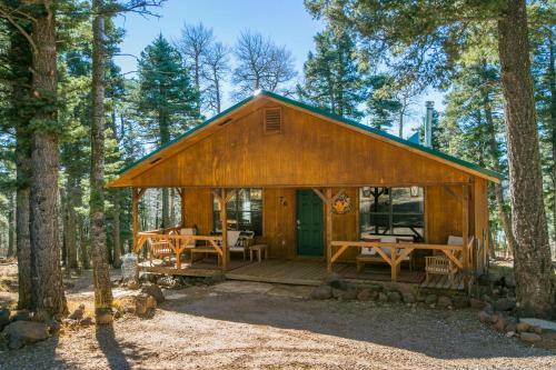 Beautiful Mountain Living At 9800 Above Sea Level