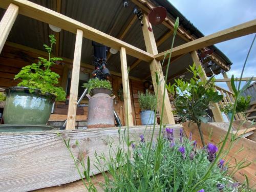 Apartamento The Hillbilly Hilton