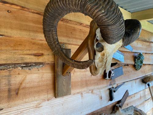 Apartamento The Hillbilly Hilton