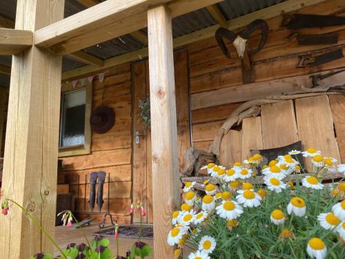 Apartamento The Hillbilly Hilton