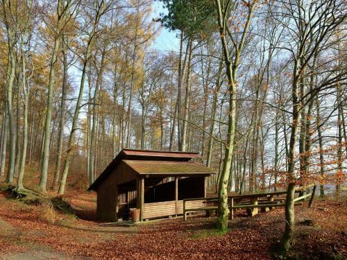 Tranquil Apartment In Lowensen Lower Saxony With Private Terrace