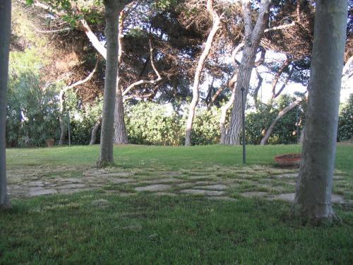 B&B Il Parco Dei Pini
