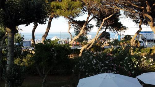 B&B Il Parco Dei Pini