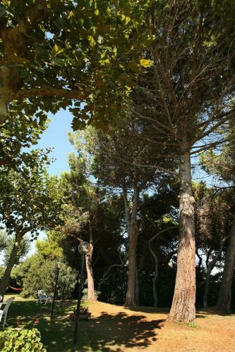 B&B Il Parco Dei Pini