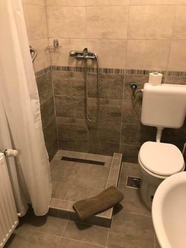 Hostal Hal�sz Airport Panzio