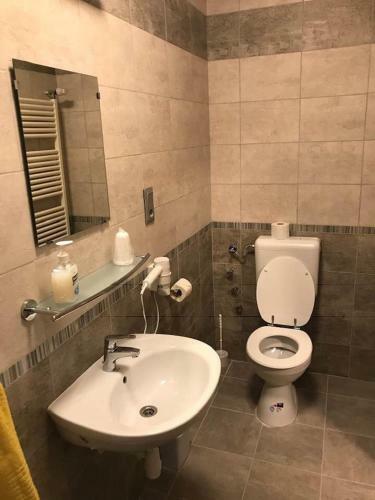 Hostal Hal�sz Airport Panzio