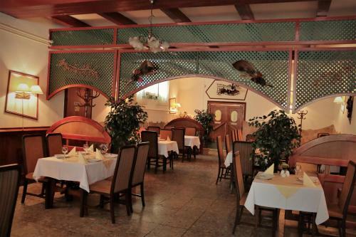 Hostal Hal�sz Airport Panzio