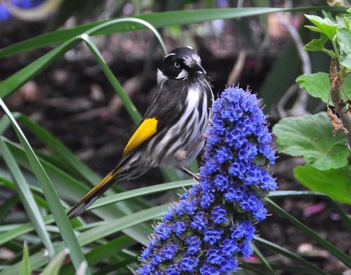 Bed & Breakfast Tamar River Retreat