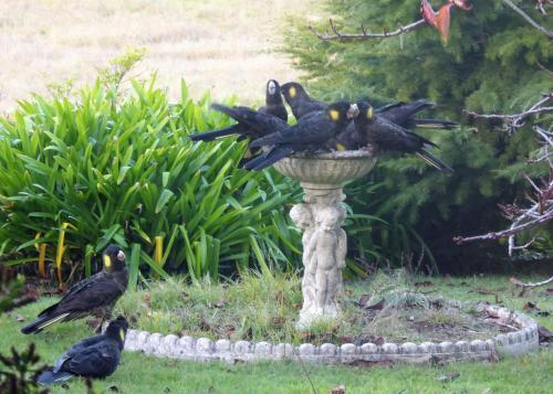 Bed & Breakfast Tamar River Retreat