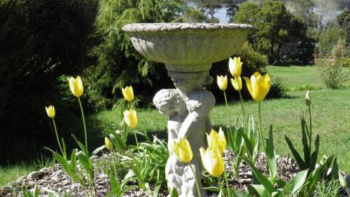 Bed & Breakfast Tamar River Retreat