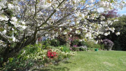 Bed & Breakfast Tamar River Retreat