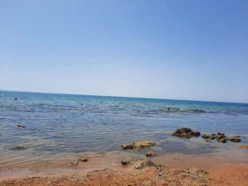 Apartamento Bilocale A 5 Minuti Dal Mare