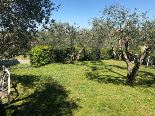 Apartamento Podere Zelmira