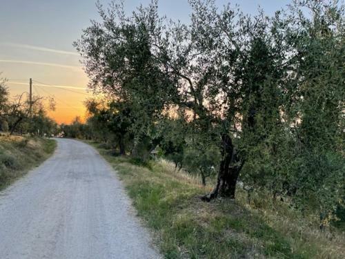 Apartamento Podere Zelmira