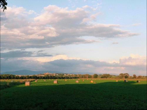Il Cantuccio Di Maghino