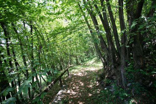 Villa Iseolakerental - Relax Nel Bosco