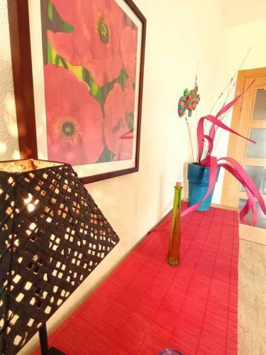 Apartamento Bego�a