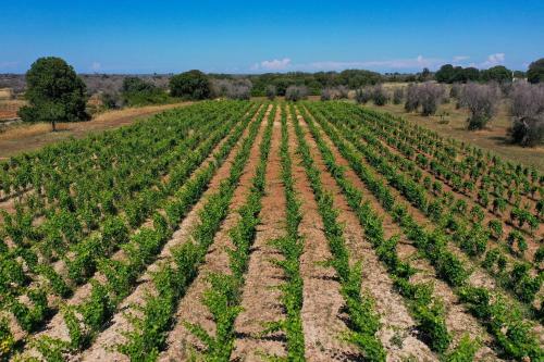 Agroturismo Masseria Lilei