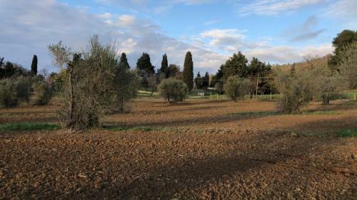 Apartamento Agriturismo Il Broletto