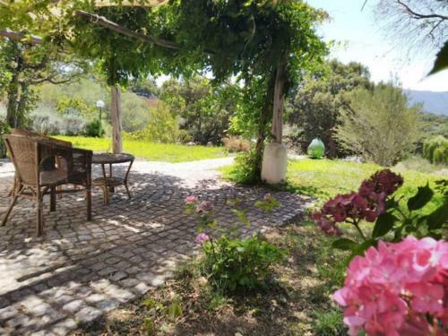 B&B Isole Di Pietra