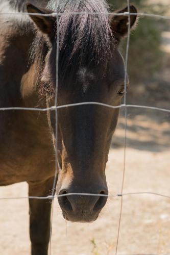 B&B Isole Di Pietra