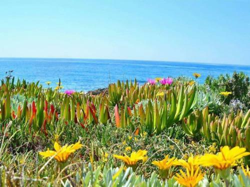 Villa A Due Passi Dal Mare
