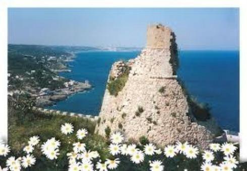 Casa Ippazia