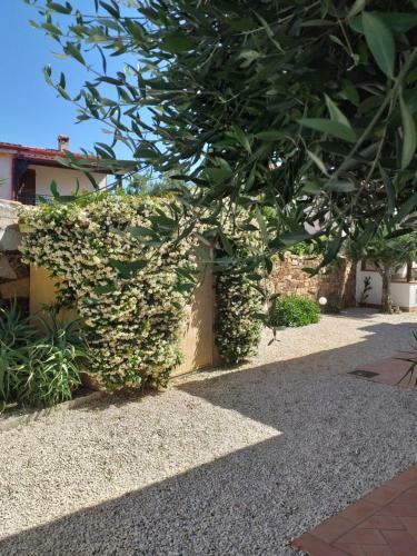 Apartamento Residenza Efisio