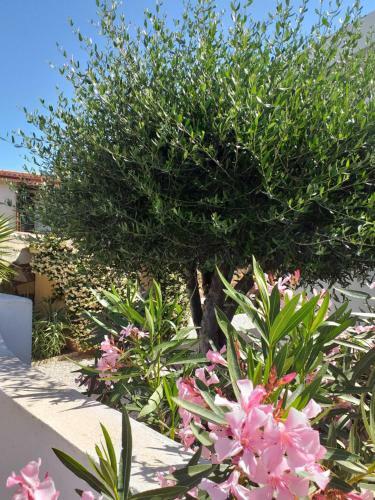 Apartamento Residenza Efisio
